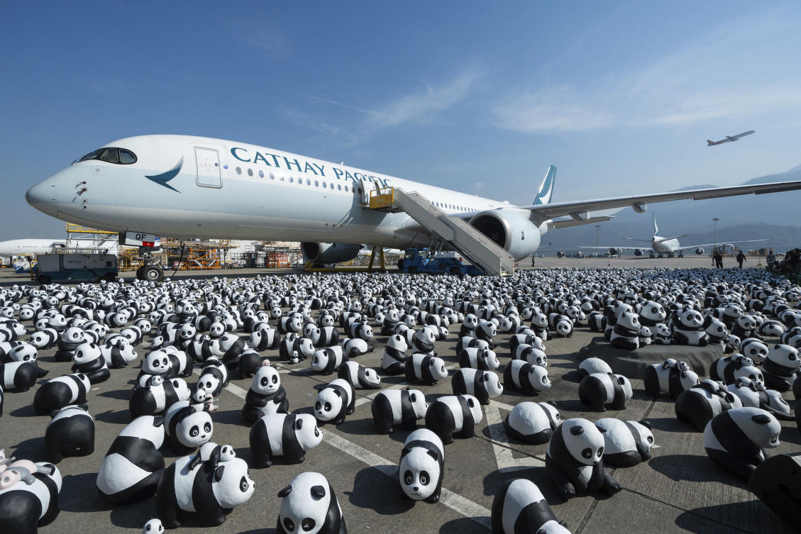 Hong Kong launches panda sculpture tour as the city hopes the bear craze boosts tourism