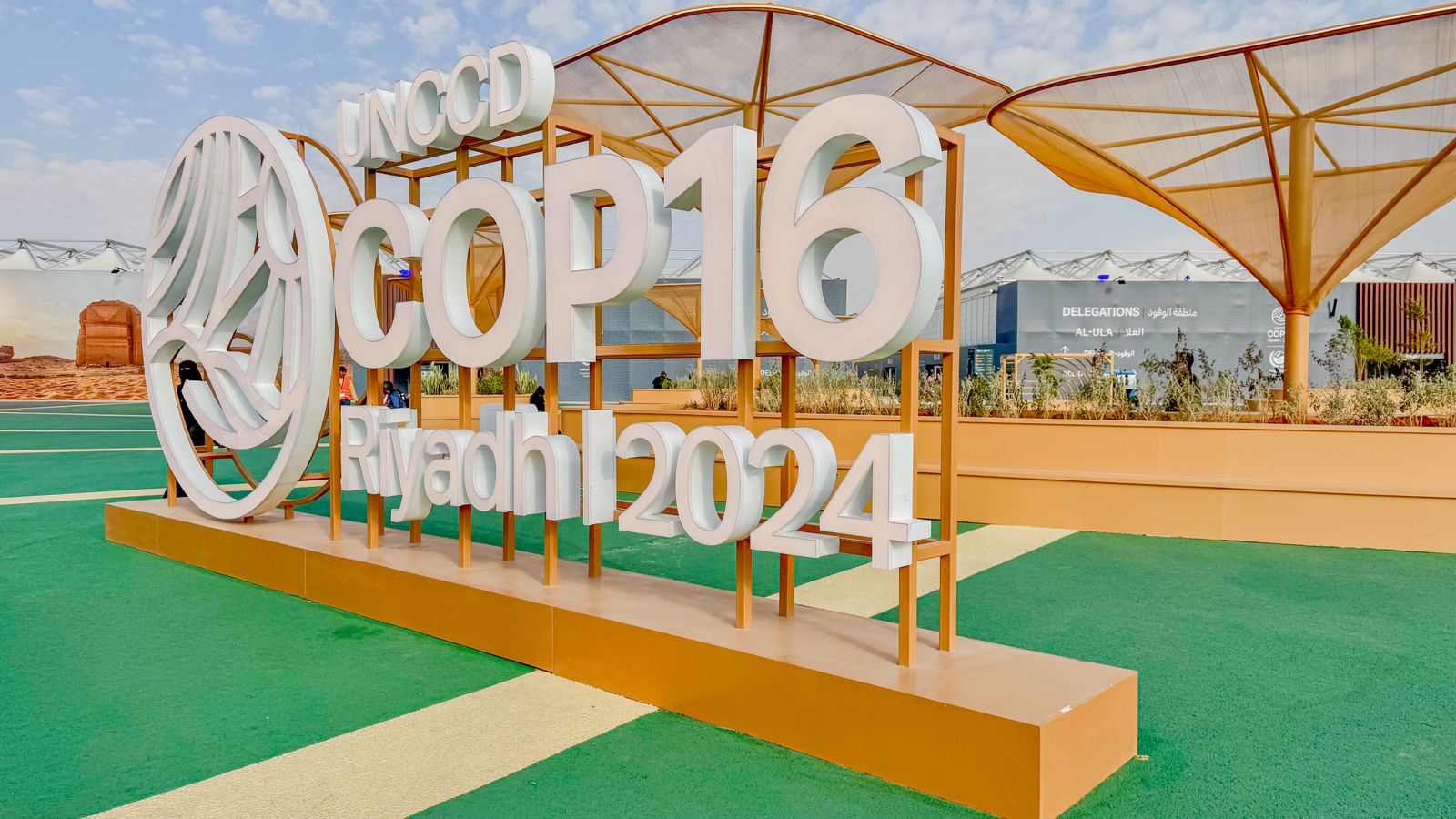 Among the most pressing topics discussed at COP16 is the need to give young people a seat at the decision-making table. AN Photo