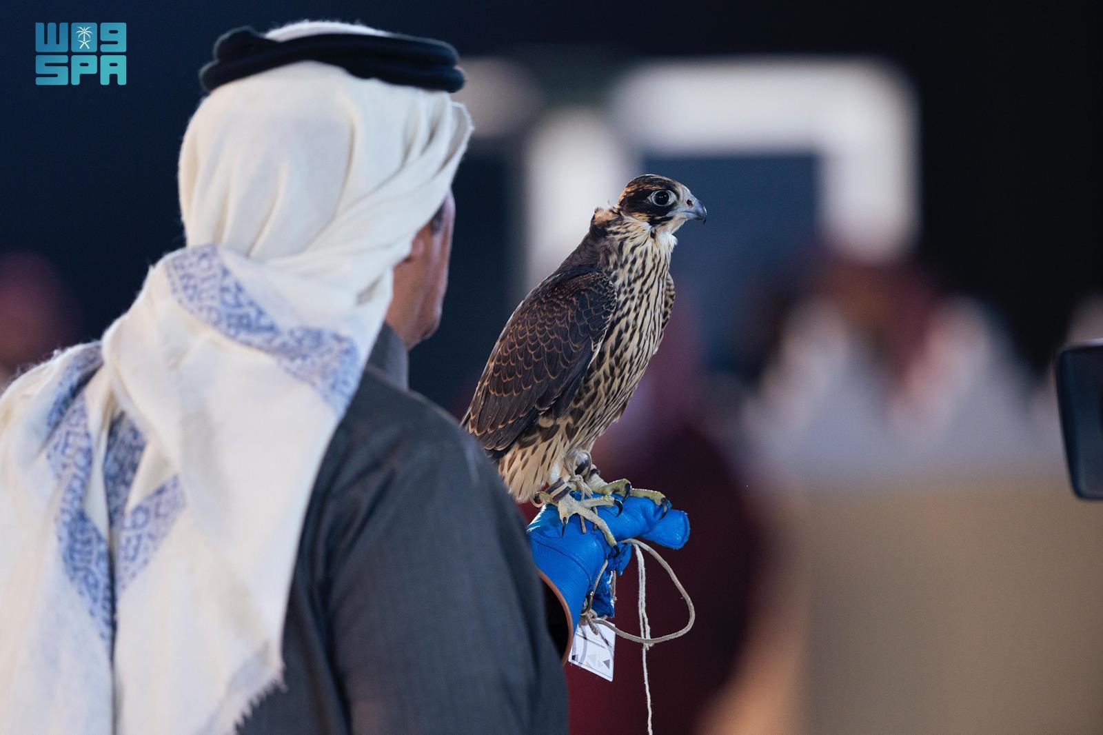 The festival, held at the club’s headquarters in Malham, north of Riyadh, runs until Dec. 19. (SPA)