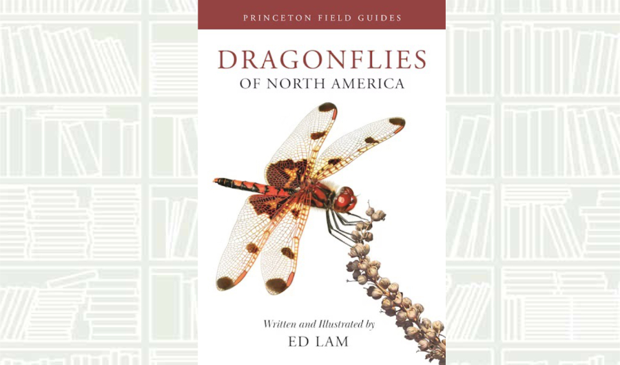 What We Are Reading Today: ‘Dragonflies of North America’