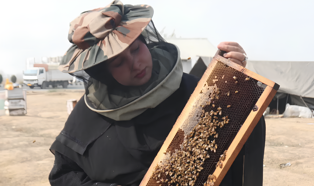 Sania Zehra, 20, shows a bee colony at her farm in Indian-controlled Kashmir. (Sania Zehra)