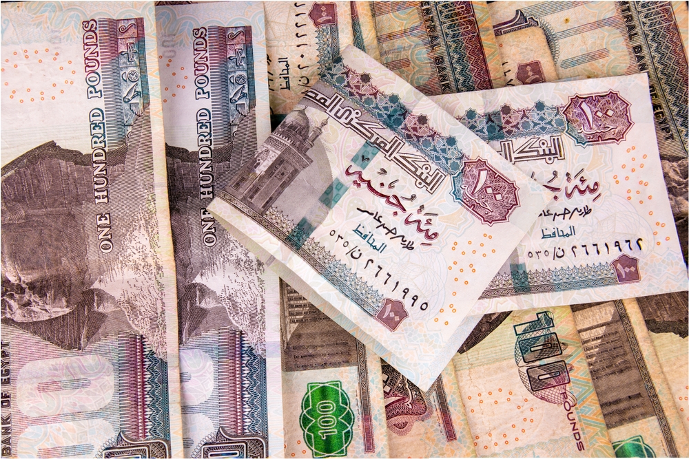 The bank’s monetary policy committee kept the lending rate at 28.25 percent and the deposit rate at 27.25 percent, it said in a statement. Shutterstock