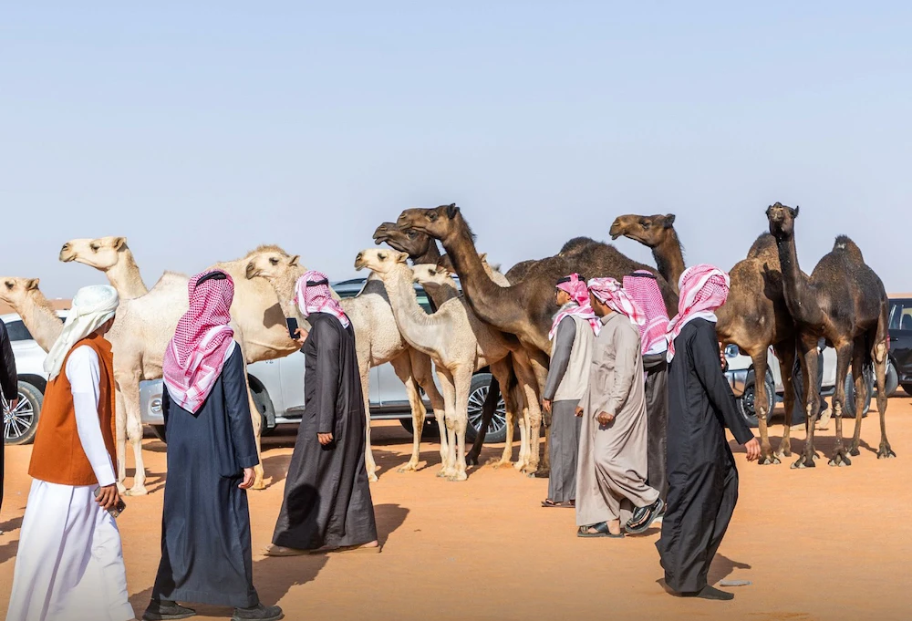 The event continues its mission to preserve and promote the camel as a cornerstone of the Kingdom’s cultural identity. (SPA)