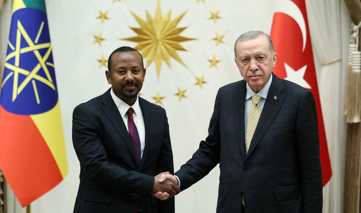 Turkish President Recep Tayyip Erdogan said he believed the deal would help Ethiopia gain its access to the sea. (AFP)