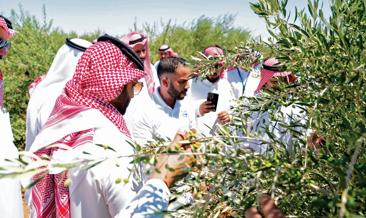 Smart tech key to solving Middle East food security crisis