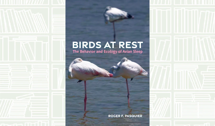 What We Are Reading Today: ‘Birds at Rest’ by Roger Pasquier