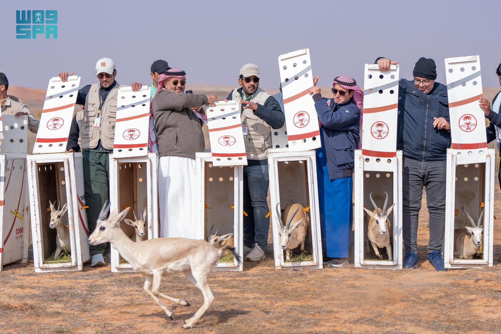 Several different species were released. (SPA)