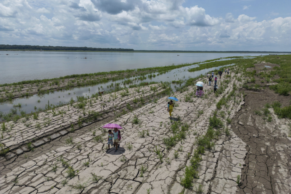 2024 was the hottest year on record, scientists say