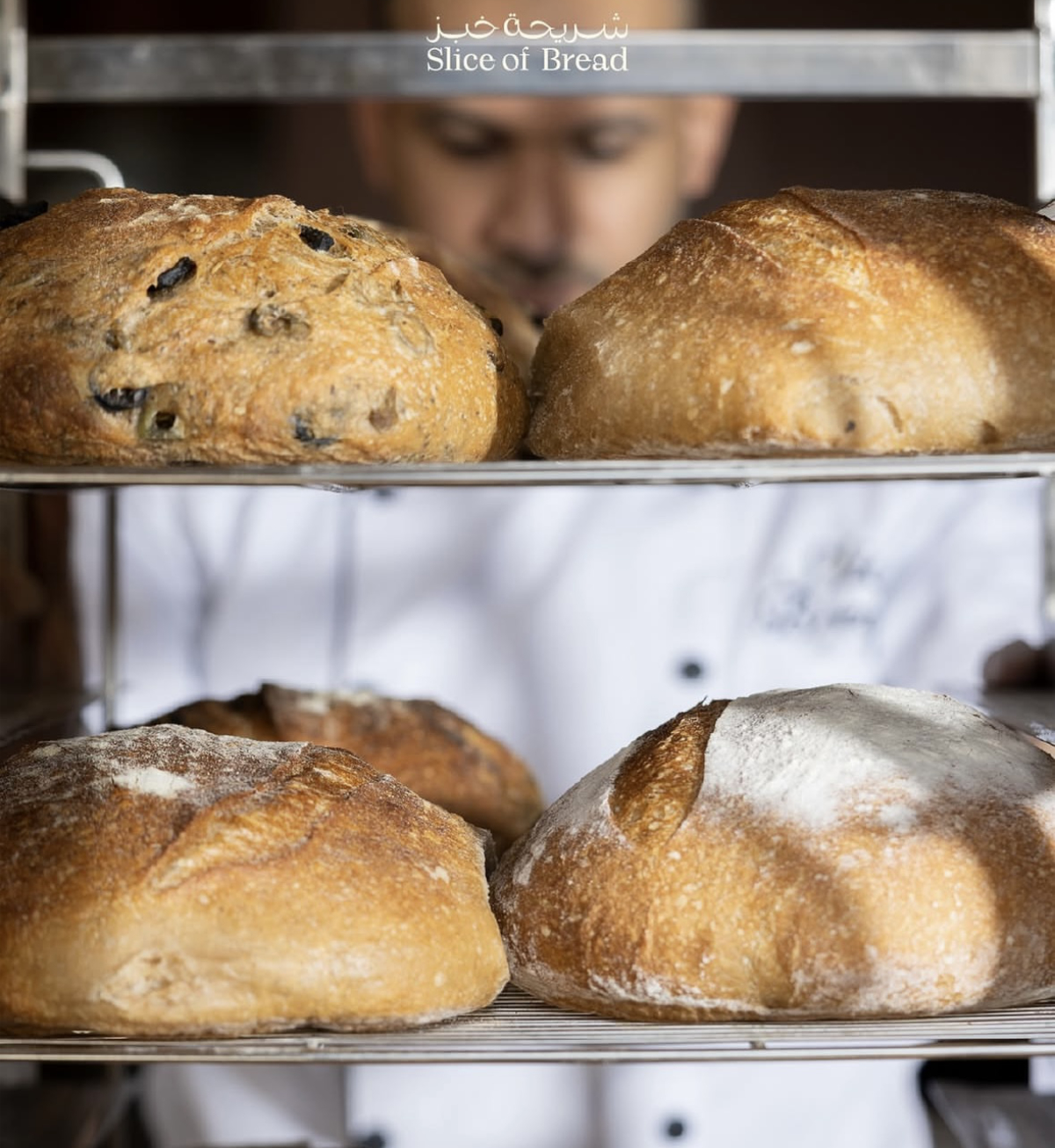 Where We Are Going Today: Slice of Bread bakery in Qatif