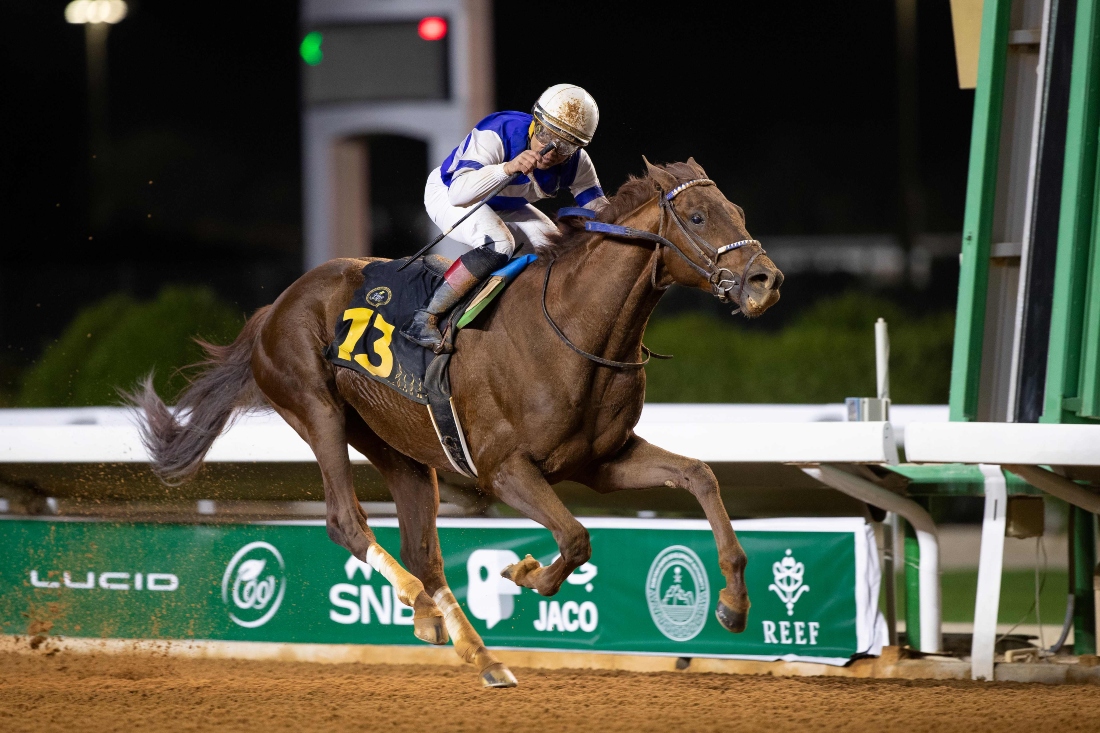 Rattle N Roll won the G3 Custodian of the Two Holy Mosques Cup under Joel Rosario. (JCSA/Ali AlZenaidi)