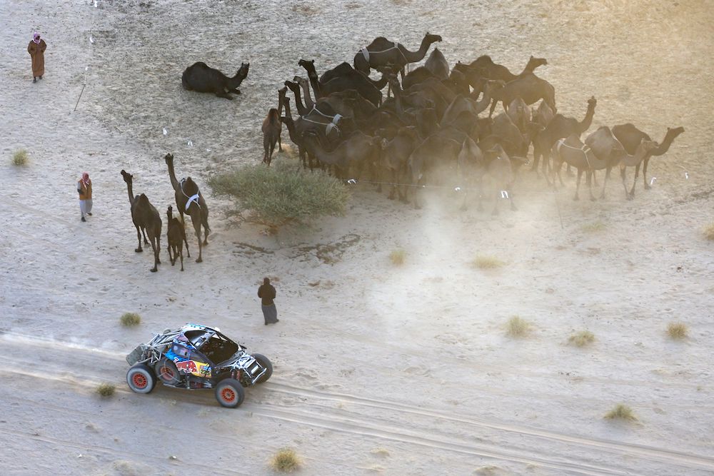 Spanish driver Carlos Sainz drives by Arabian camels during Stage 2B of the 47th Dakar Rally between Bisha and Bisha on Jan. 6, 2025. (AFP)