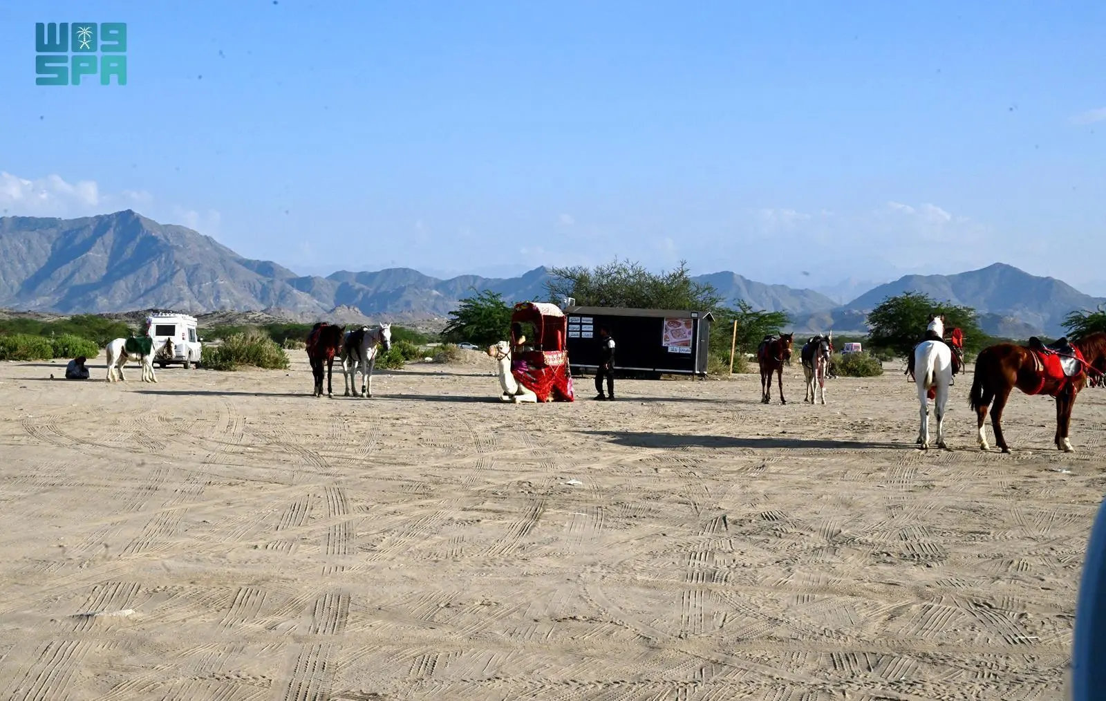 Wadi Al-Mugmass is distinguished by its highlands, golden sands, and scattered wild trees. (SPA)