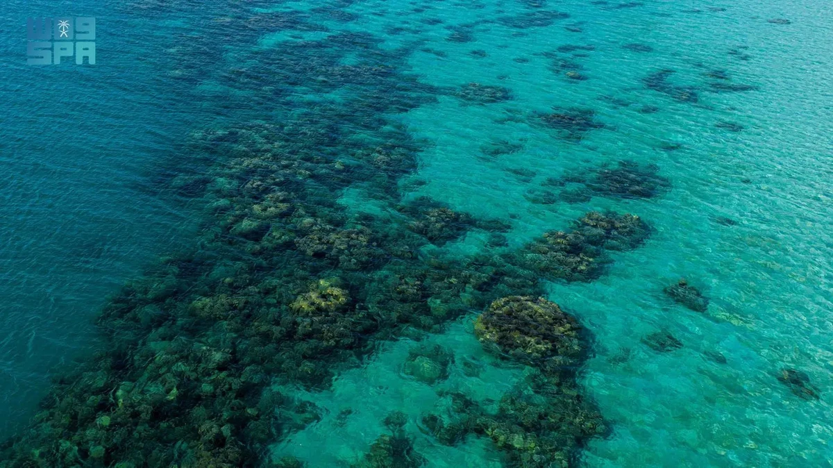 Mountain rising approximately 500 meters above sea level, Sirin offers a dazzling view of the corals and turqoise waters of the Red Sea along Makkah's coasts. (SPA)