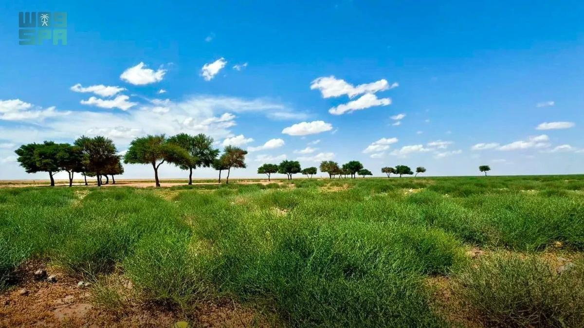 Almost 90 per cent of the ITBA Royal Reserve is covered and under protection, according to Mohammed AlShaalan, the CEO of Imam Turki bin Abdullah Royal Reserve Development Authority. (SPA)