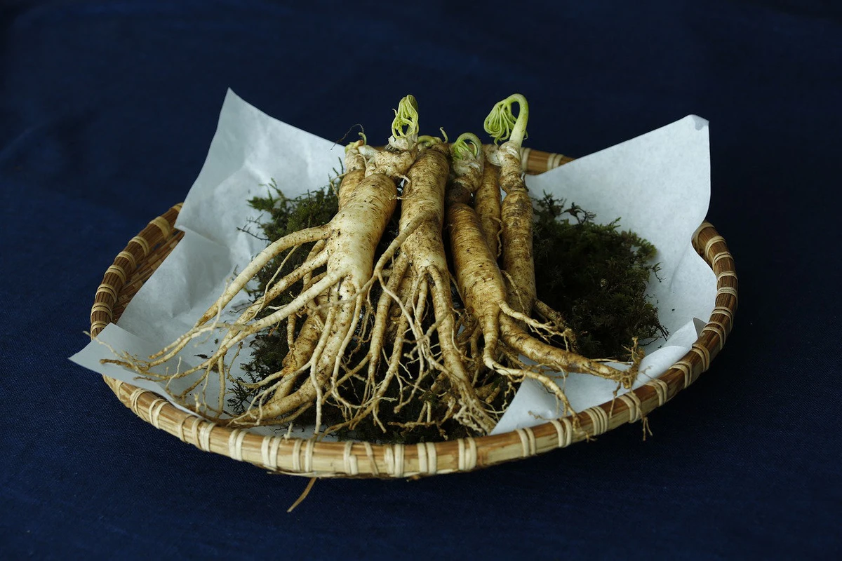 Ginseng is a herbal medicine used for its purported effects on concentration, energy levels, and mood. (AN file photo)