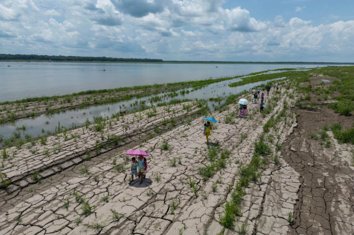 2024 was the hottest year on record, scientists say