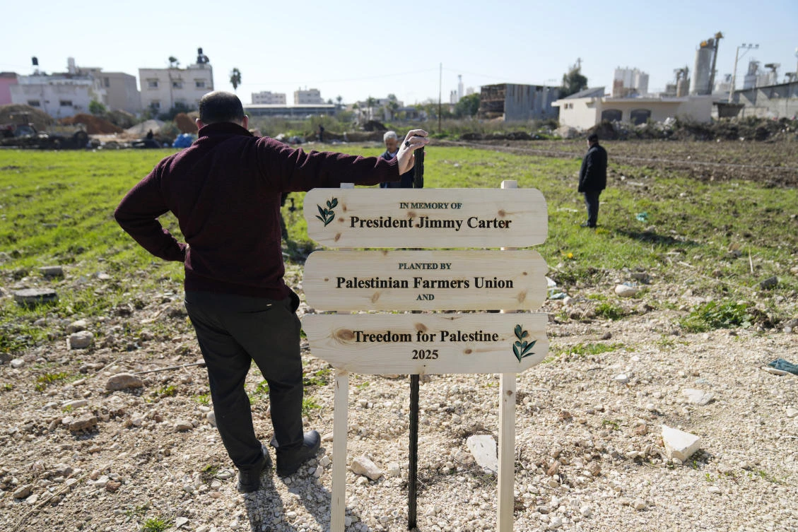 Palestinian farmers prepare for the replanting of 2.5 acres of land with 250 olive trees in memory of President Jimmy Carter, in the West Bank city of Tulkarem, Jan. 13 (AP)