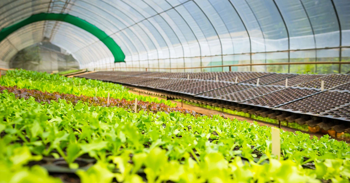Saudi agritech firm closes $2.55m in seed funding round