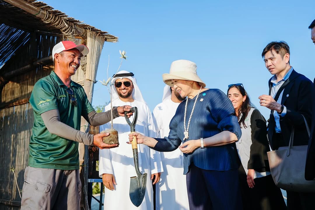 Above, Tokyo Governor Yuriko Koike, center, at Jubail Mangrove Park in the UAE. (Instagram: jubail_mangrove_park)