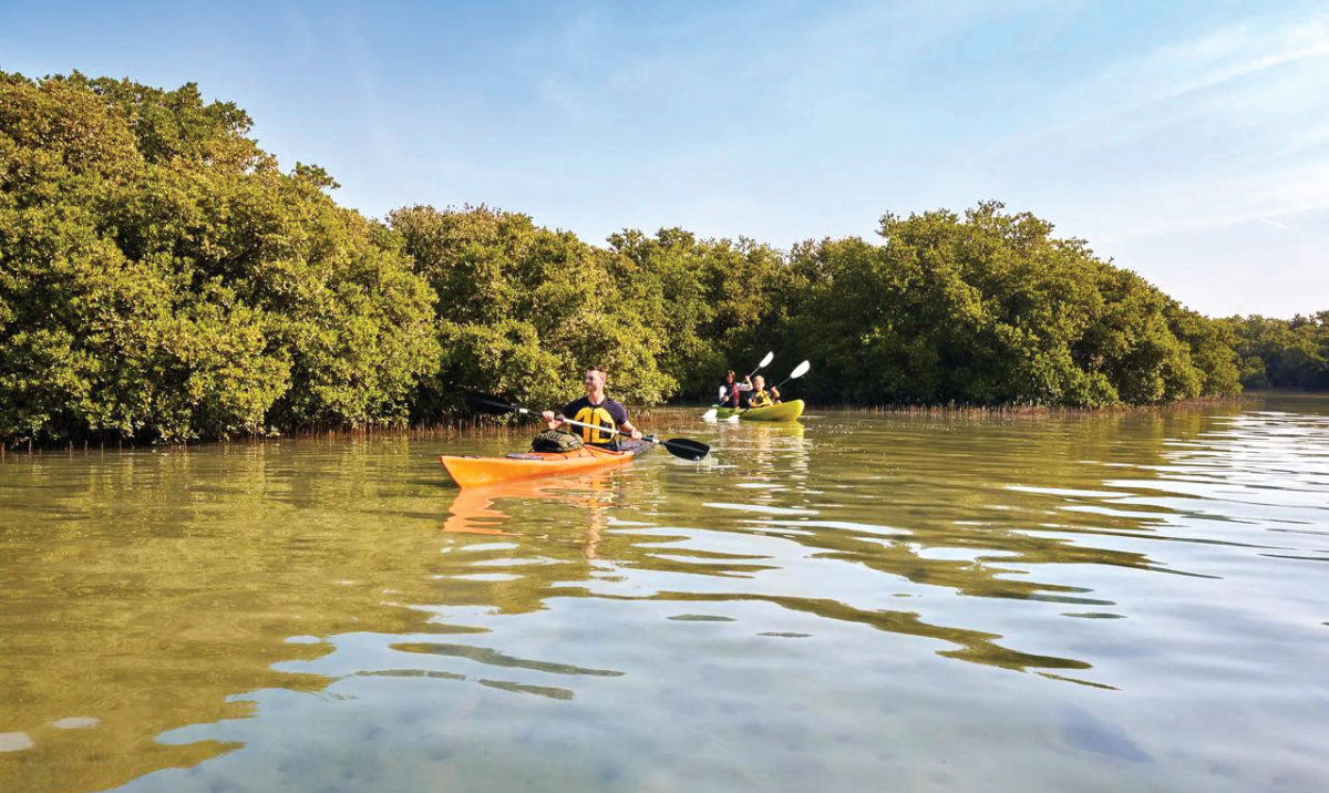 A popular tourist attraction, Al-Thakira is among Qatar’s oldest and largest mangrove forests.