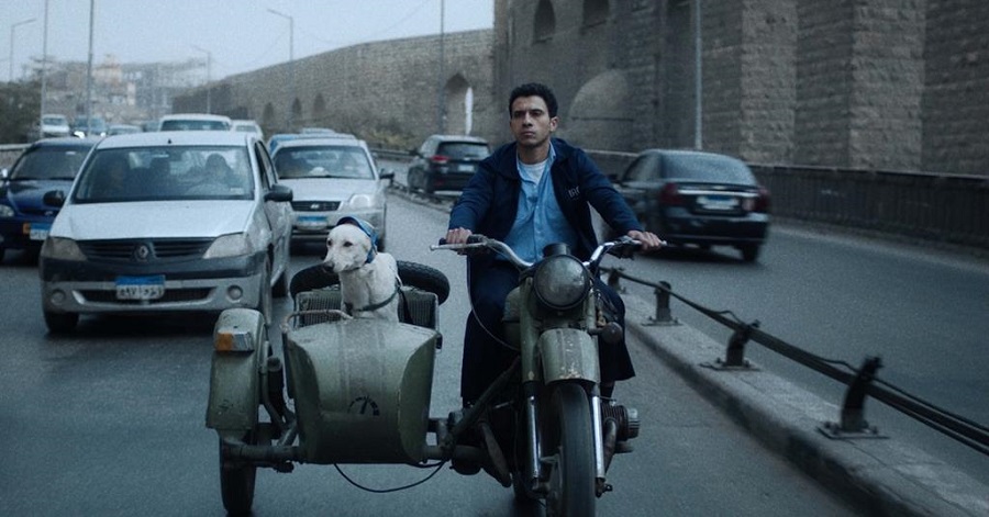 “Seeking Haven for Mr. Rambo” tells the story of protagonist Hassan as he searches for a safe haven for his best friend, his beloved dog Rambo. (Supplied)