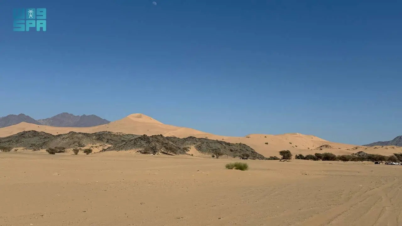 Madinah’s Al-Jabiya sand dunes a magnet for nature lovers