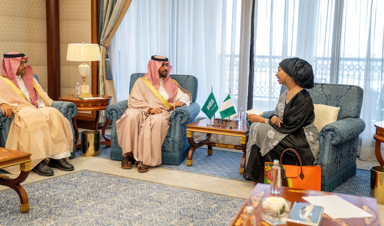 The two officials discussed the importance of enhancing cooperation in various artistic fields. (SPA)