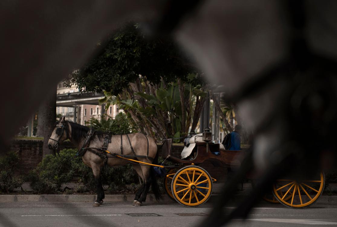 Spanish tourist hotspot Malaga to ban horse-drawn carriages