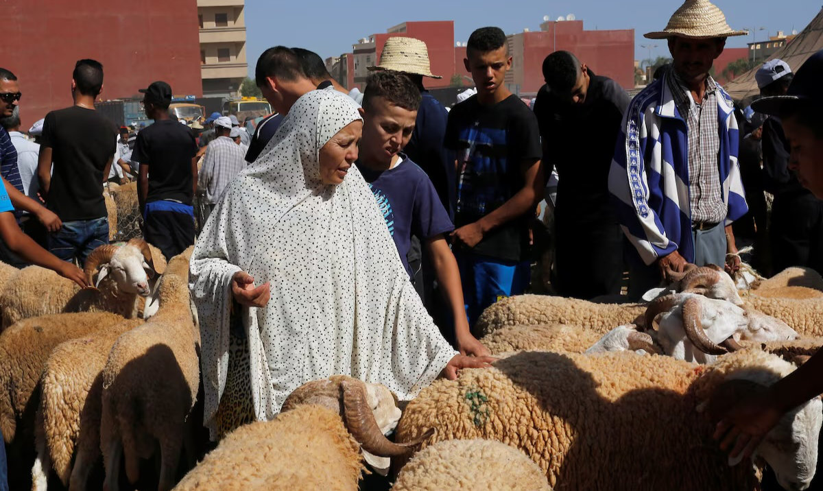 A woman buys a sheep at a livestock market, ahead of the Eid Al-Adha festival, in the Moroccan city of Oujda. (Reuters/File)