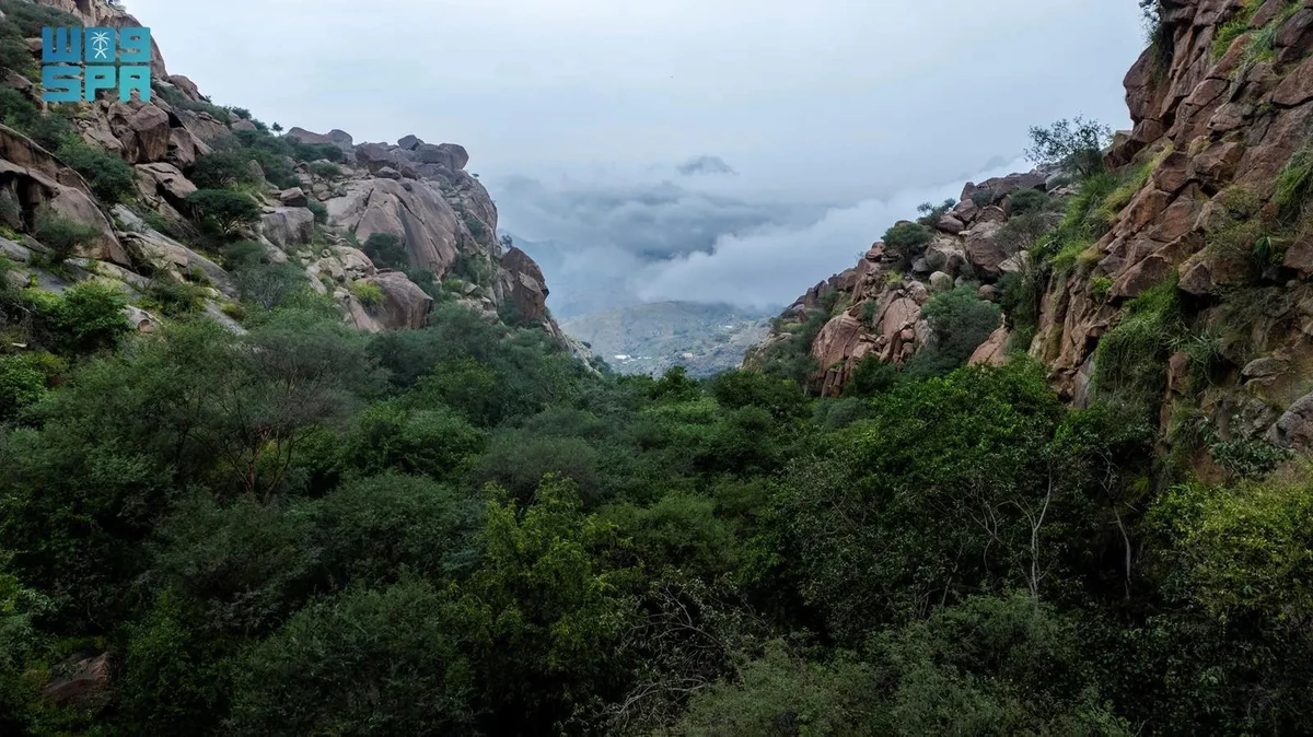 Low clouds create winter wonderland around Shada mountains