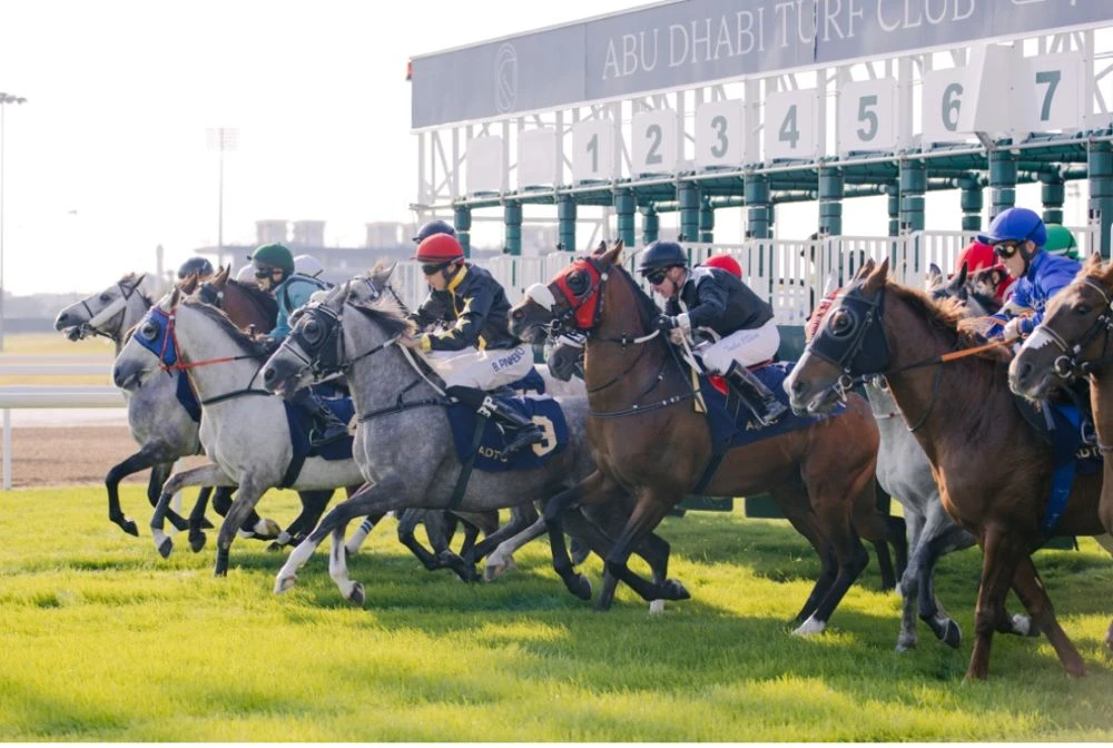 The Abu Dhabi Gold Cup will take place on Feb. 16. (Supplied)