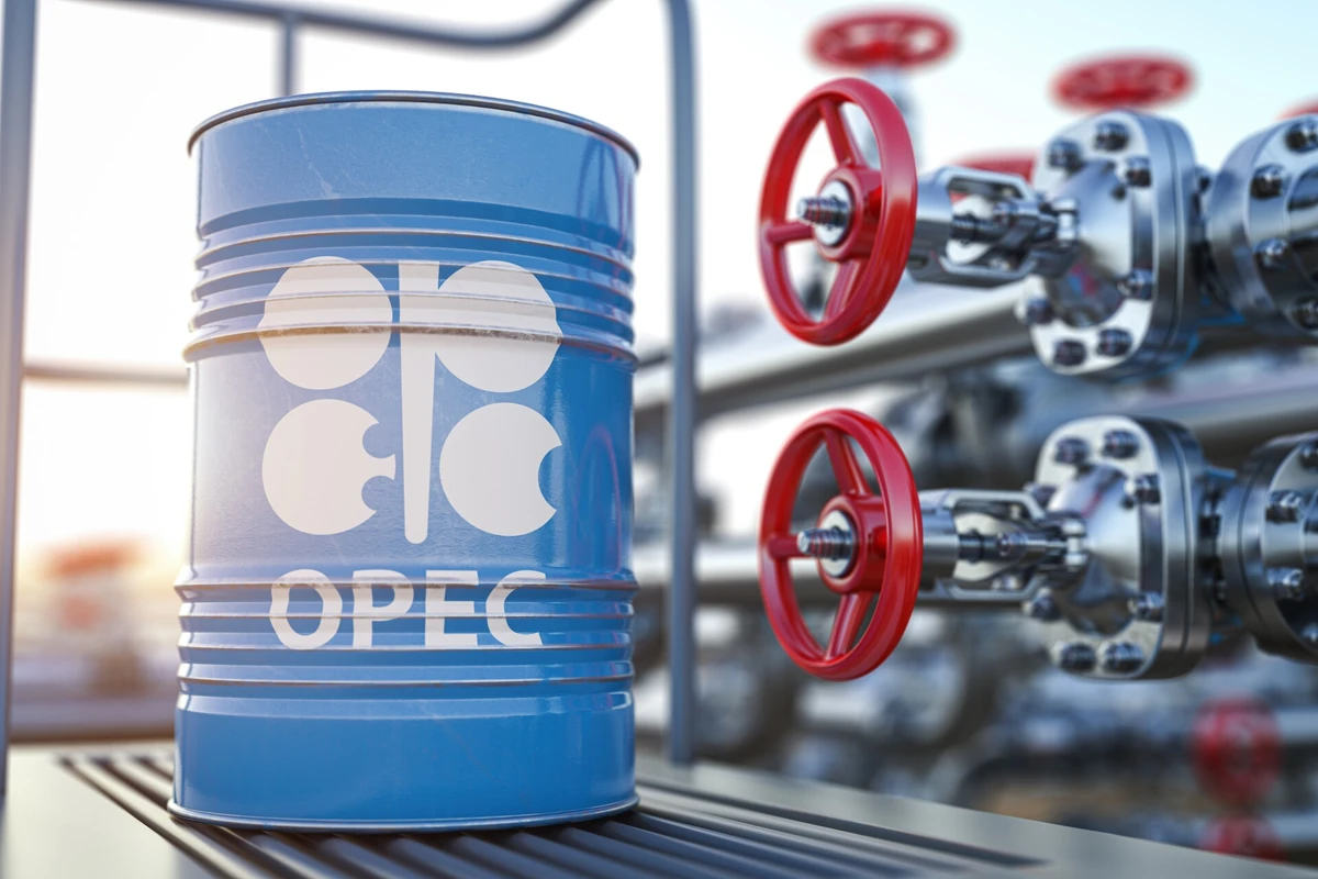 OPEC’s view on oil demand is at the higher end of industry forecasts and it expects oil use to keep rising in coming years. File