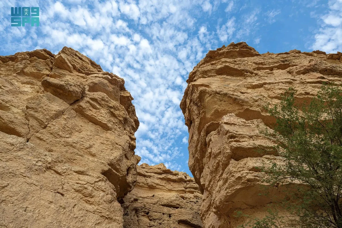 With the arrival of winter and cooler temperatures, the reserve becomes a perfect destination for ecotourism and outdoor adventure enthusiasts. (SPA)