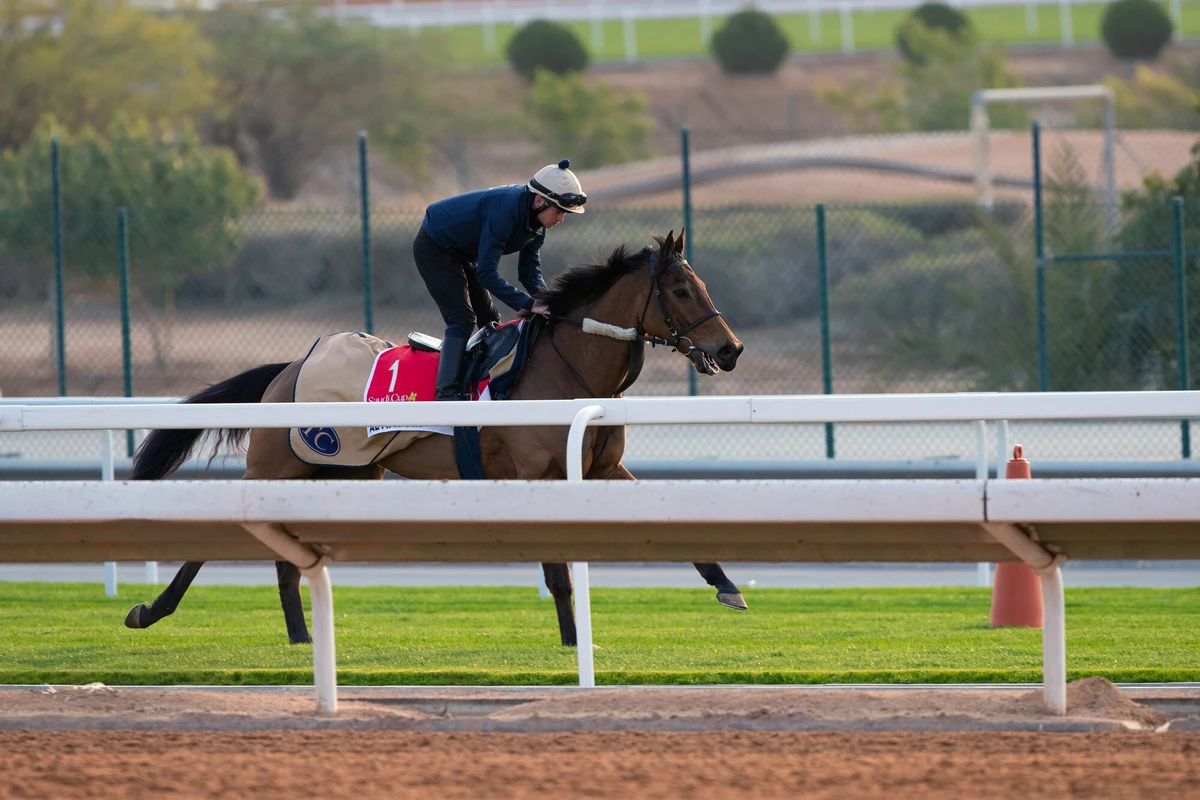 7-year-old gelding Al Nayyir in morning work on Thursday ahead of the Saudi Cup meeting this weekend. (The Saudi Cup/JCSA/Mark Worsley)