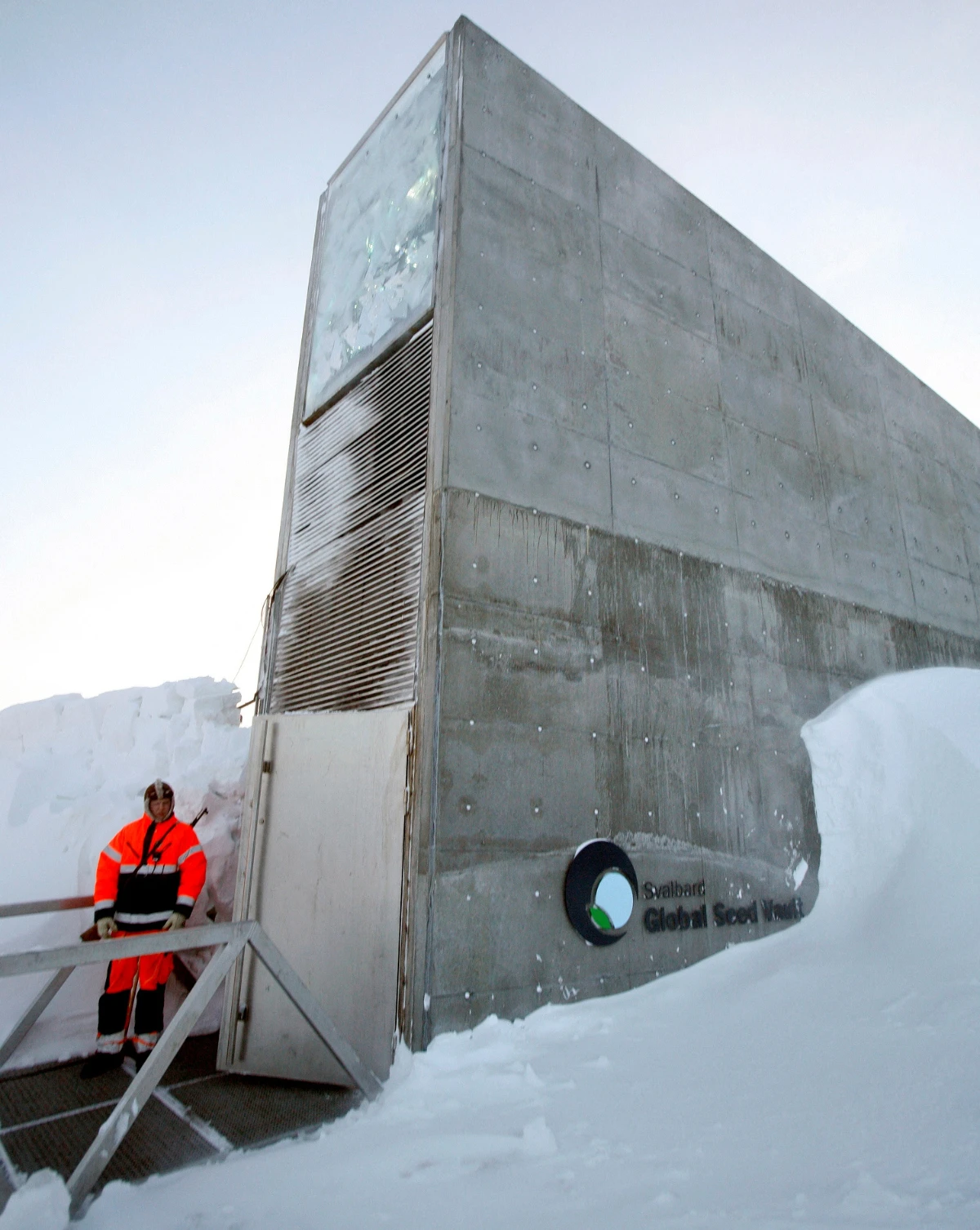 Arctic ‘doomsday’ seed vault gets more than 14,000 new samples