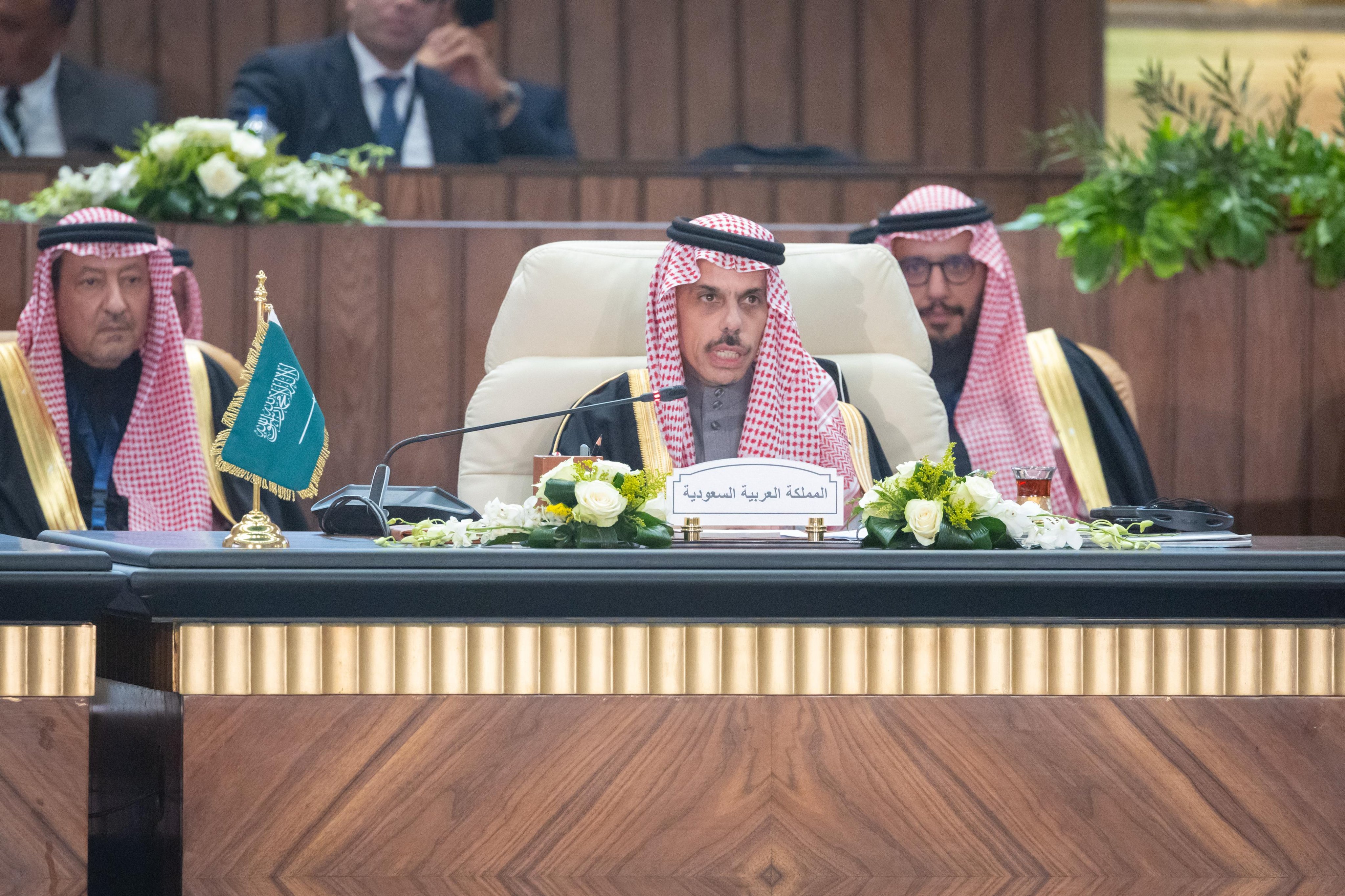 Saudi Foreign Minister Prince Faisal bin Farhan speaks at the extraordinary Arab League summit on Gaza. (SPA)