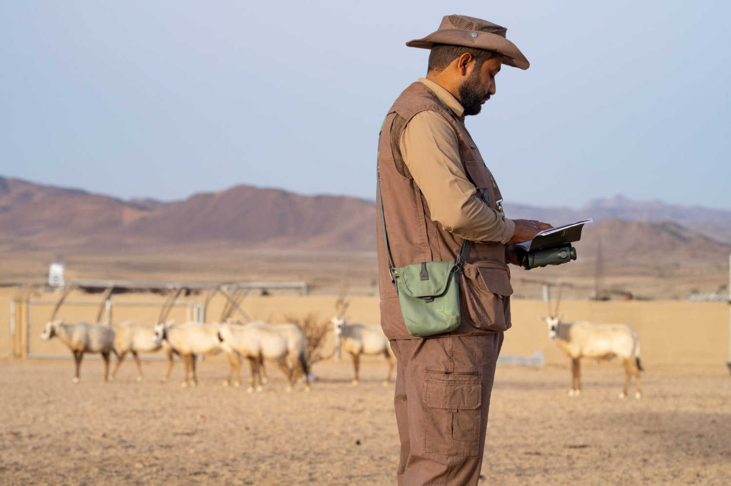 Faris Abdullah Ismail Al-Juhani spent time on his family’s farm in Duba, a coastal town within Prince Mohammed bin Salman Royal Reserve, helping his father care for sheep and camels. Now a ranger team leader, he uses that experience to protect Saudi Arabia’s wild heritage as part of the Reserve’s rewilding program. (PMSRR photo)