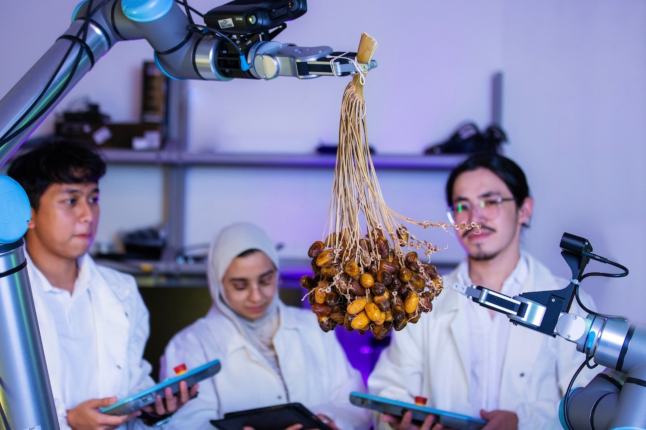 KAUST is developing a new robotic system designed to automate date palm harvesting. (Supplied)