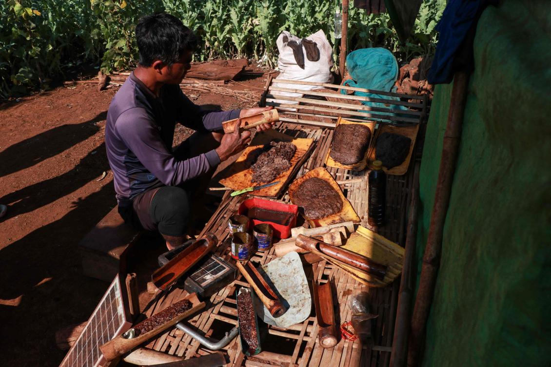 Scraping opium resin off a seedpod in Myanmar’s remote poppy fields, displaced farmer Aung Hla describes the narcotic crop as his only prospect in a country made barren by conflict. (AFP)