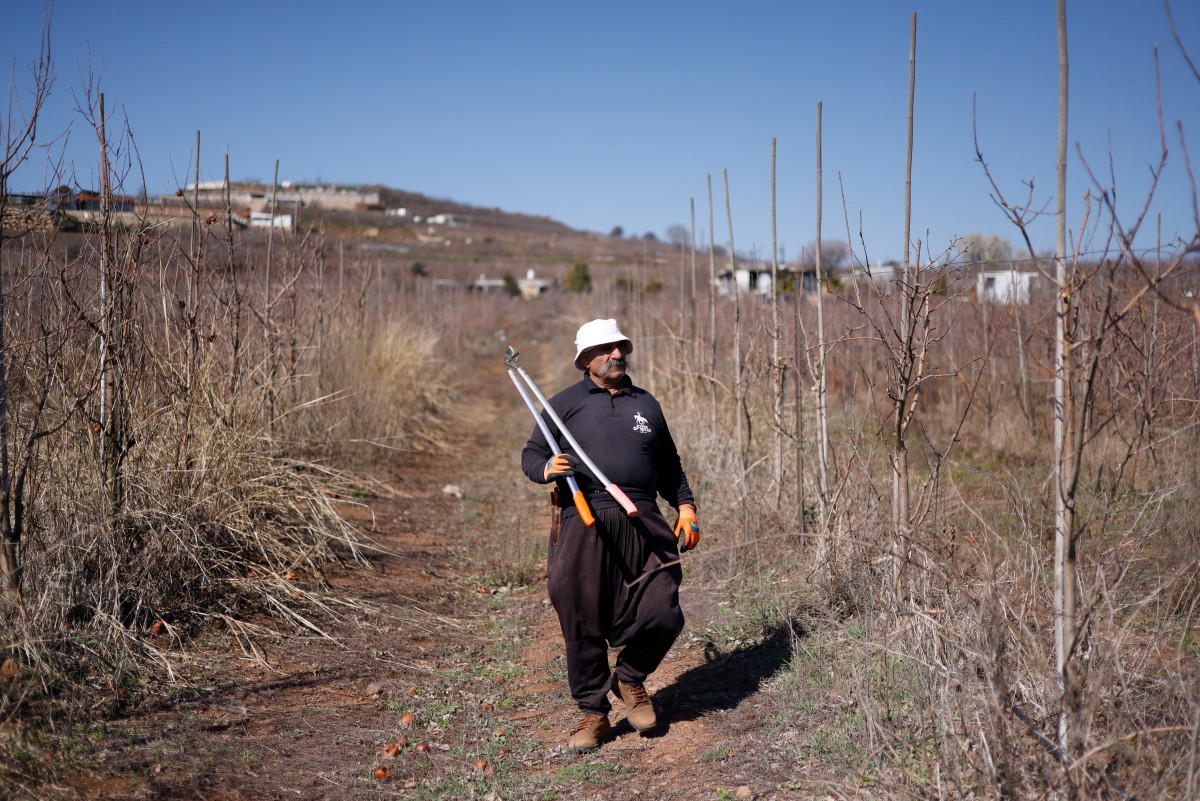 A Druze farmer walks through a field as he prepares to prune apple trees near the the Druze village of Majdal Shams in the Israeli-annexed Golan Heights on March 11, 2025. (File/AFP)