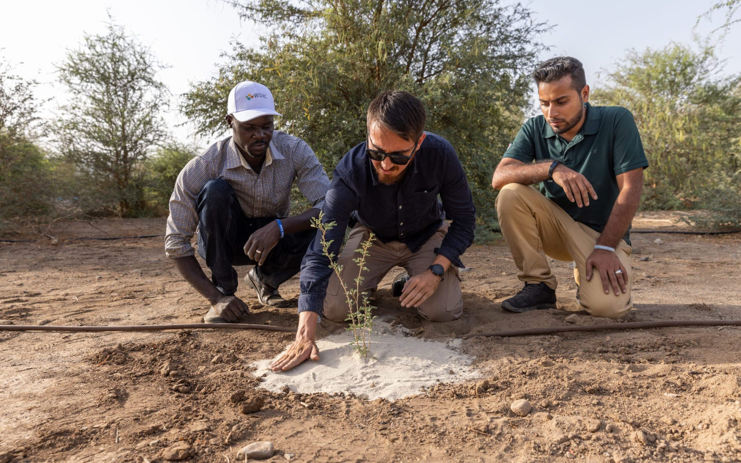 A layer of SandX applied like mulch over wet soil greatly reduces evaporation. (KAUST/Terraxy photo)