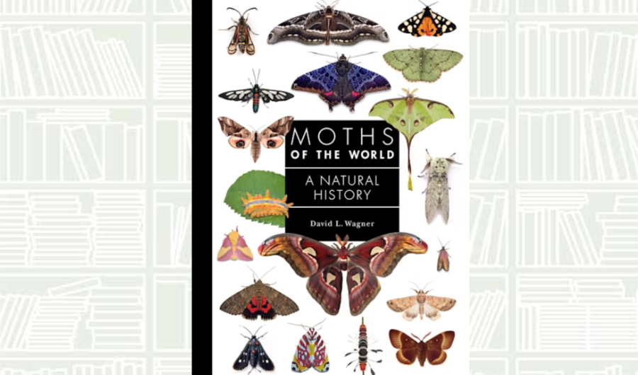 What We Are Reading Today: Moths of the World
