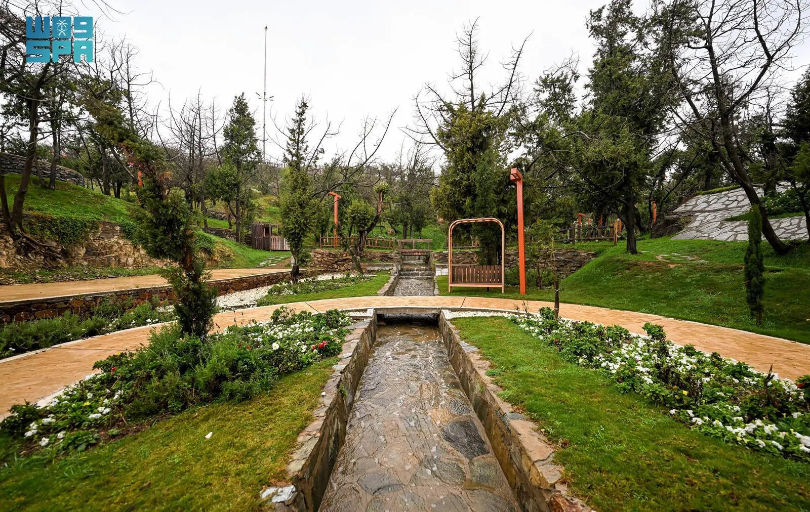 Baha blossoms into emerald-green landscape from heavy rain