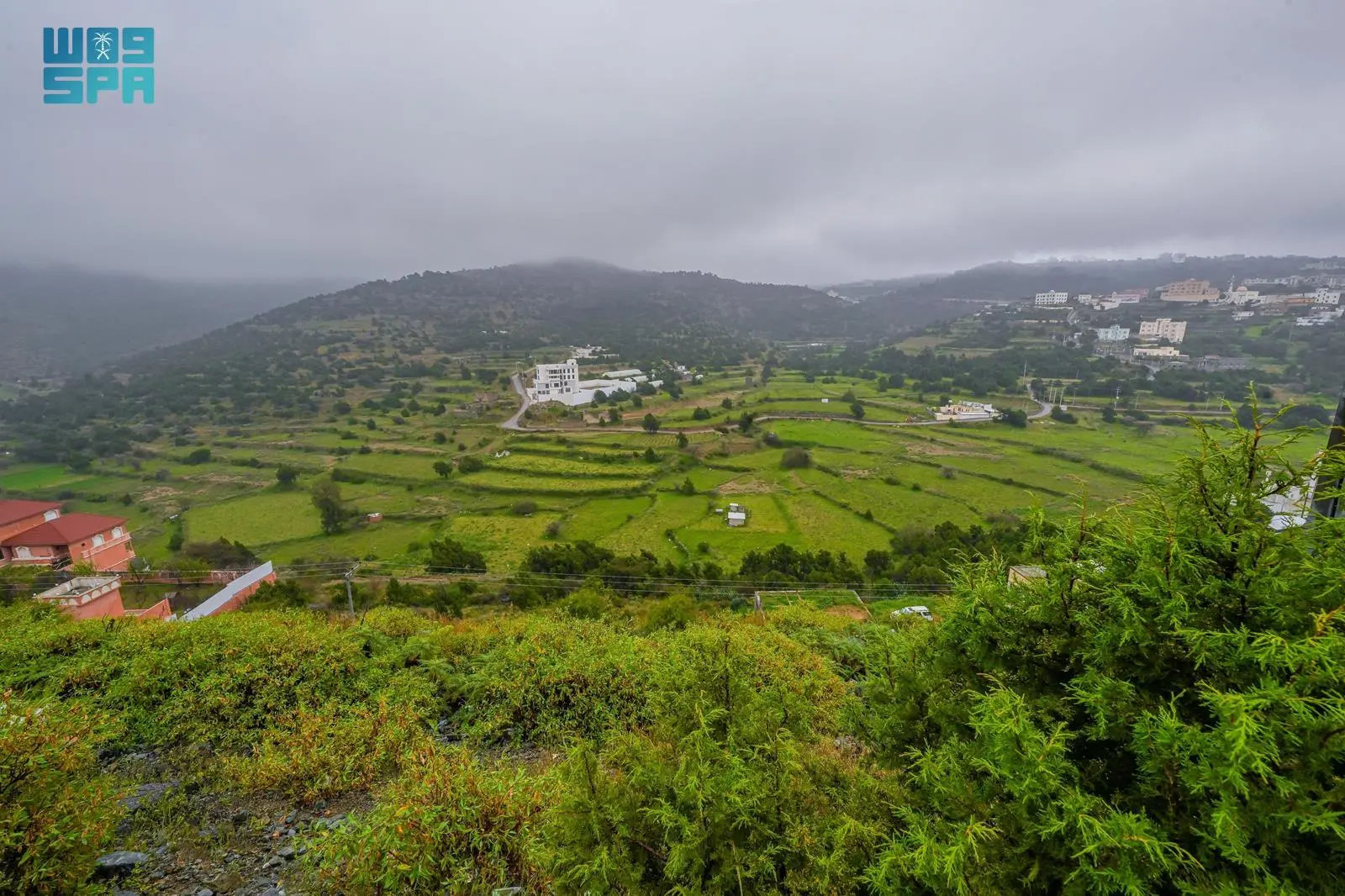 Baha blossoms into emerald-green landscape from heavy rain