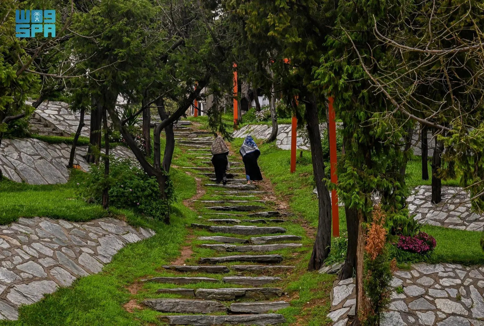 Baha blossoms into emerald-green landscape from heavy rain