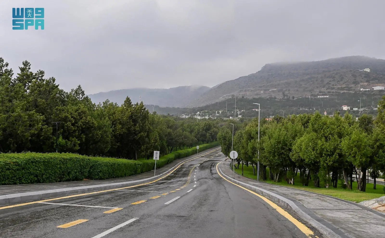 Baha blossoms into emerald-green landscape from heavy rain