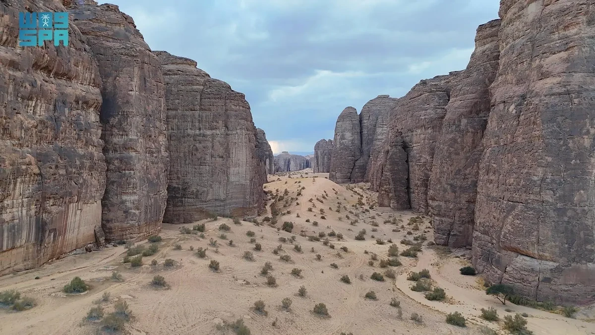 The reserve is included in efforts by the Royal Commission for AlUla to protect the environment and wildlife. (SPA)
