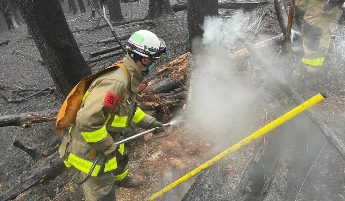 Japan’s worst wildfire in 50 years brought under control