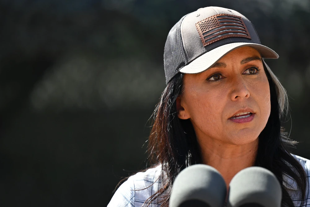 US Director of National Intelligence Tulsi Gabbard (pictured) decided against appointing a critic of Israel’s war in Gaza to a top government post over fears that doing so would anger members of President Donald Trump’s administration. (AFP)