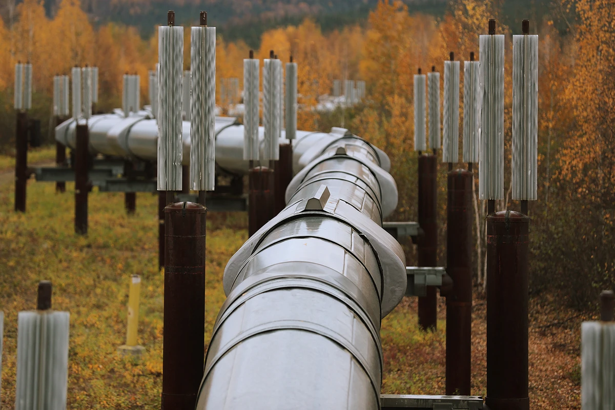 A part of the Trans Alaska Pipeline System in Fairbanks, Alaska, Sept. 17, 2019. (AFP)